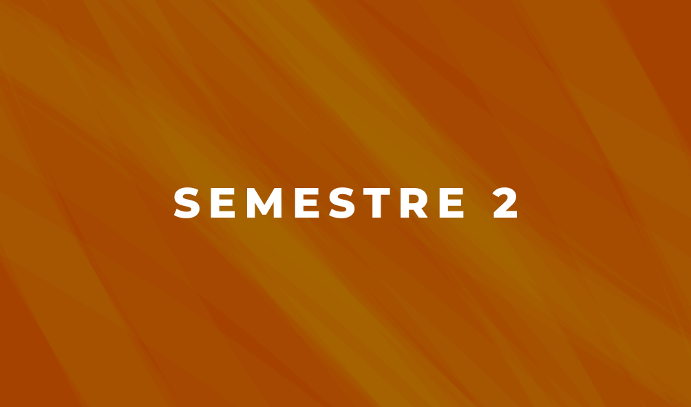 Semestre 2 - Esp.Virtual en Derecho Procesal (C10)