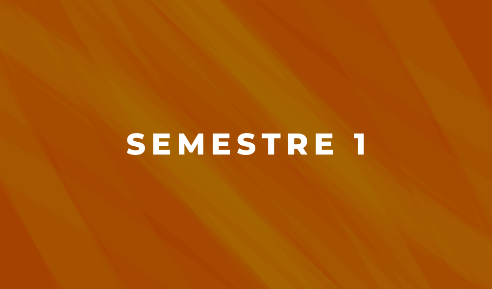 Semestre 1 - Esp.Virtual en Derecho Procesal (C11)