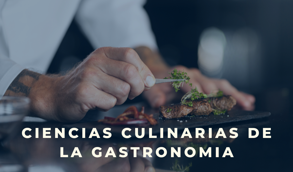 Ciencias Culinarias de la Gastronomía